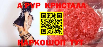 стафф Донской