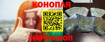 стафф Донской