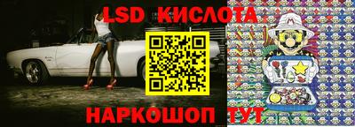 стафф Донской